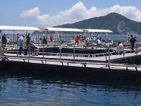 かまえ海上釣り堀 釣っちゃ王 - 海上釣堀ポータル - 全国の海上釣り堀・海釣り公園口コミ情報