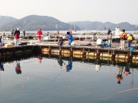 釣堀 紀州 海上釣堀ポータル 全国の海上釣り堀 海釣り公園情報